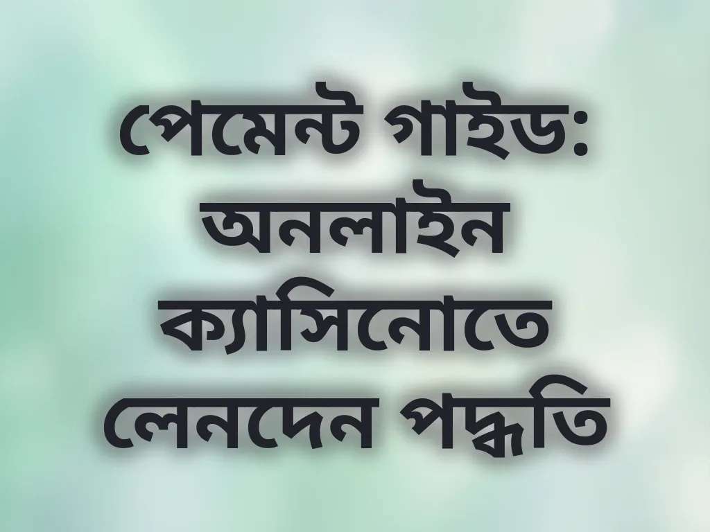 পেমেন্ট গাইড